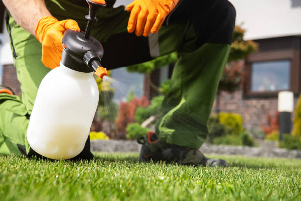 Best Termite Control Services  in Sylvania, GA