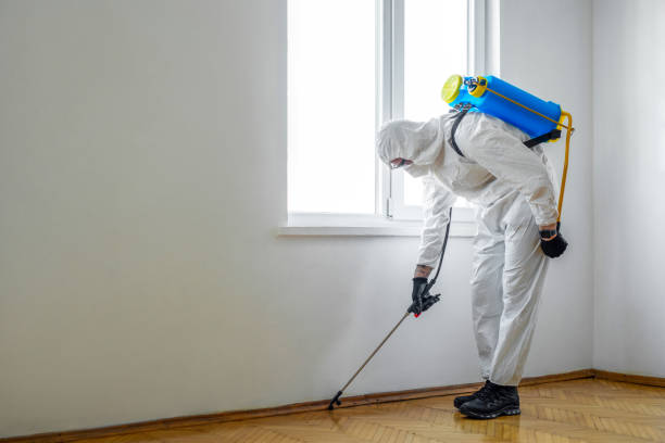 Best Mosquito Control Services  in Sylvania, GA