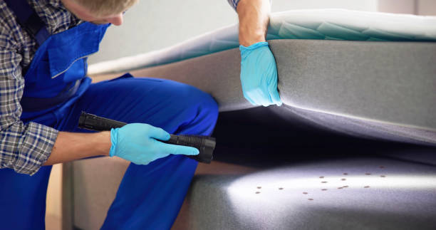 Best Pest Prevention Services  in Sylvania, GA