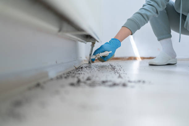Best Bed Bug Extermination  in Sylvania, GA